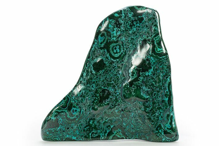 Vibrant Polished Malachite with Chrysocolla - DR Congo #320439